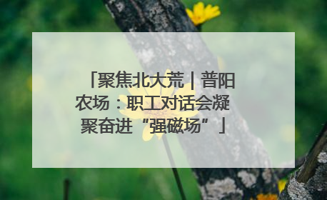 聚焦北大荒｜普阳农场：职工对话会凝聚奋进“强磁场”